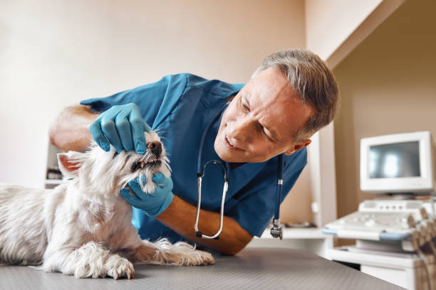 Best Emergency Tooth Extraction  in Rkside, PA